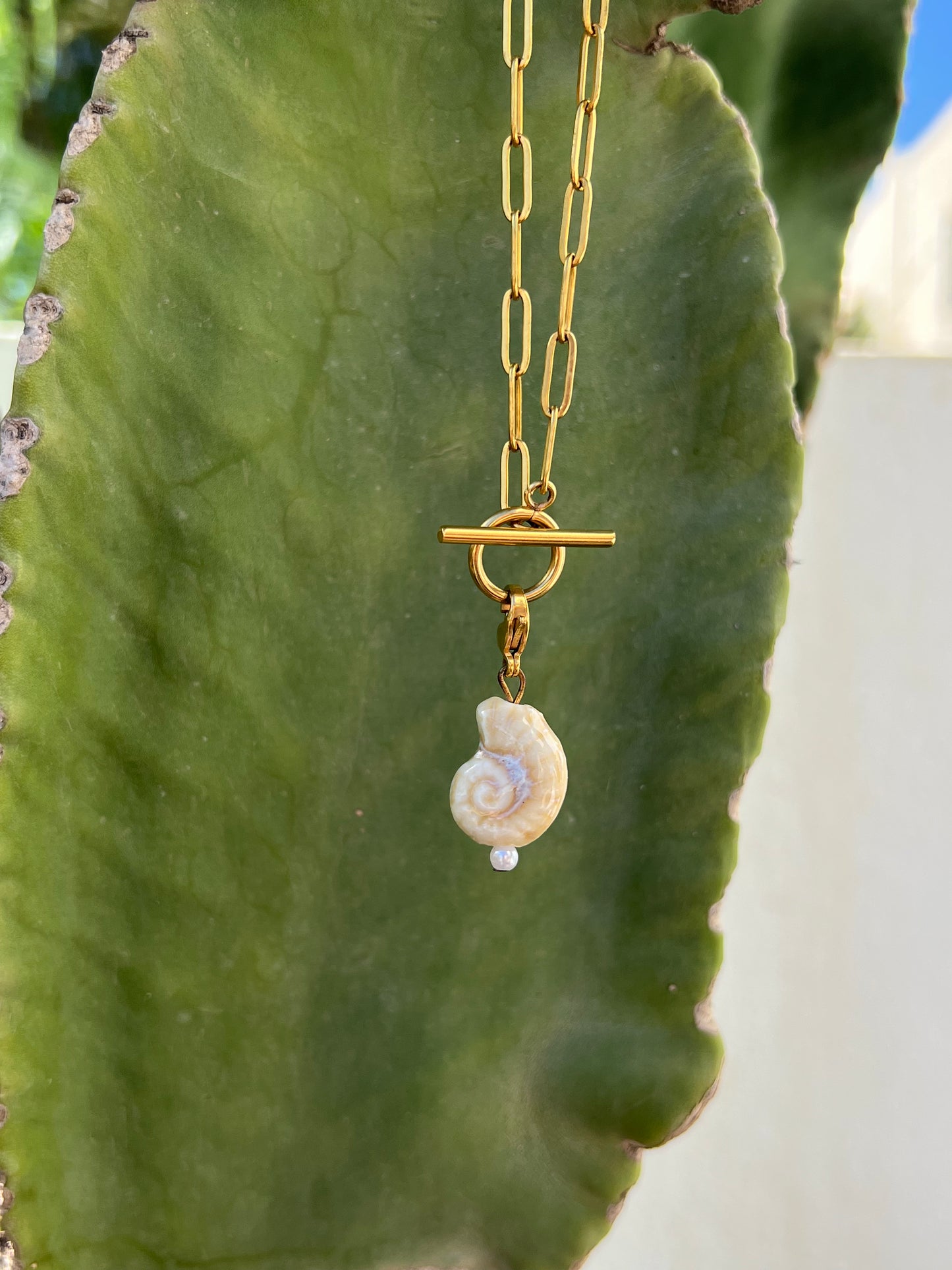 Charm shell
