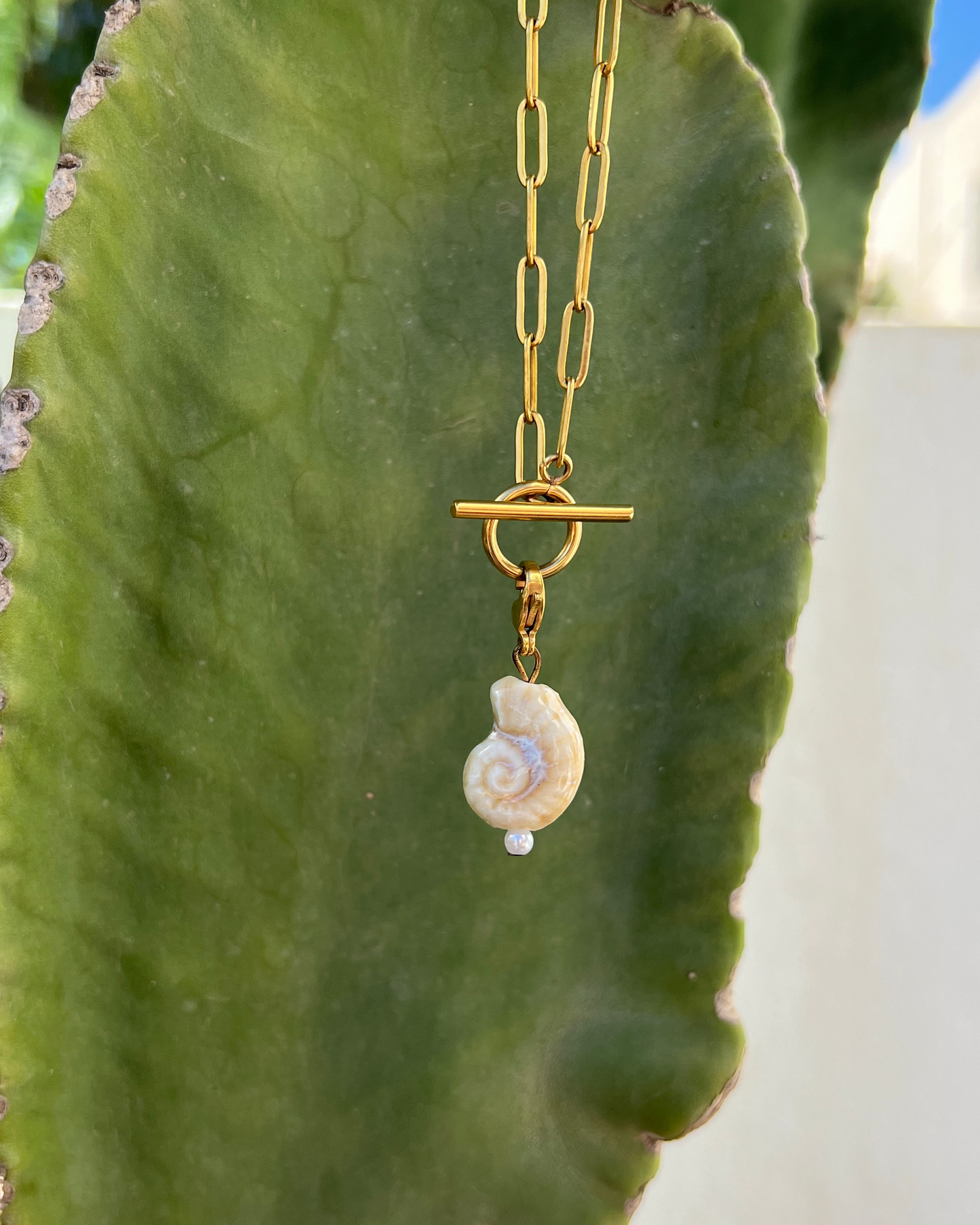 Charm shell