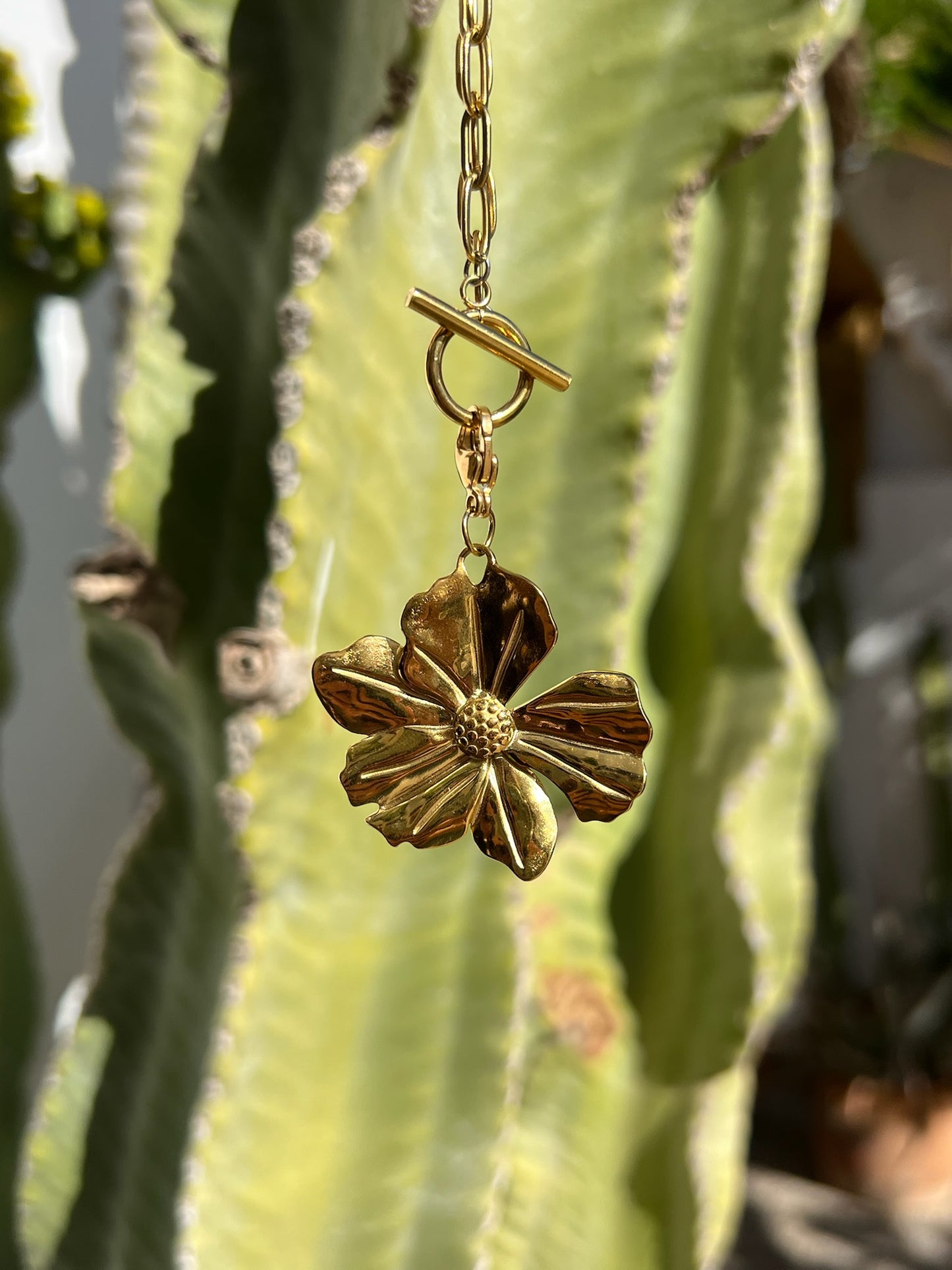 Charm Golden Margarita